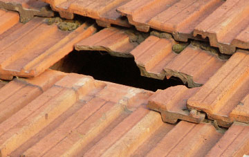 roof repair Bont Dolgadfan, Powys