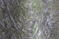 Bont Dolgadfan fibreglass roof work